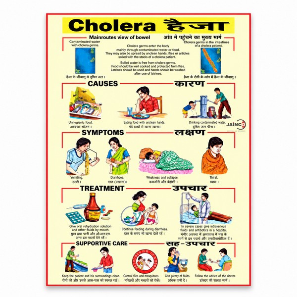 Cholera Chart